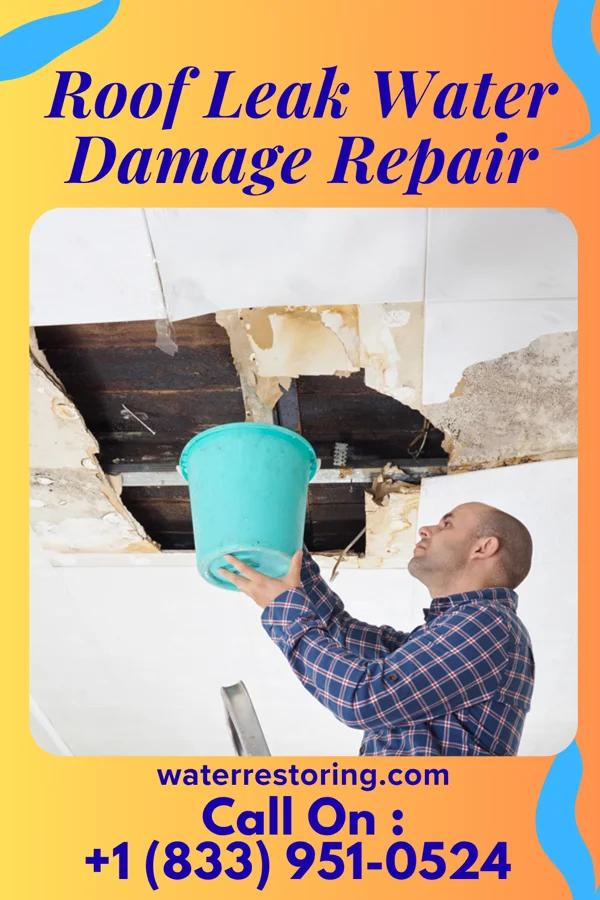Roof Leak Water Damage Repair in Hartley, CA